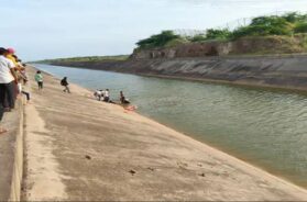 Drowned in the canal